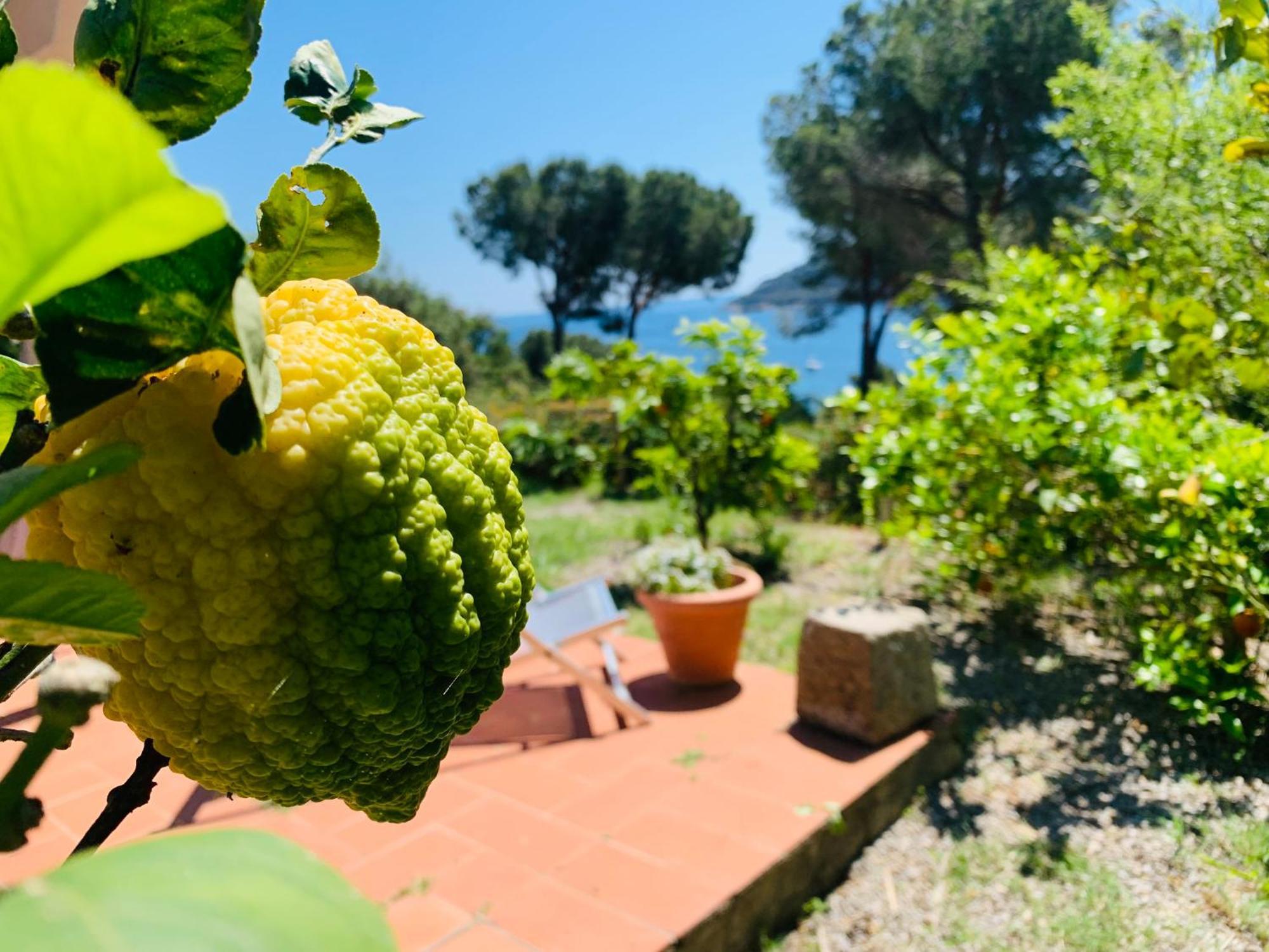קאפוליברי Case Dei Limoni Sul Mare מראה חיצוני תמונה
