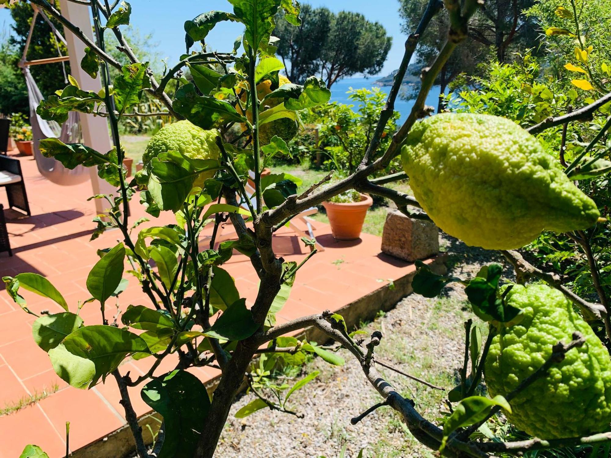 קאפוליברי Case Dei Limoni Sul Mare מראה חיצוני תמונה