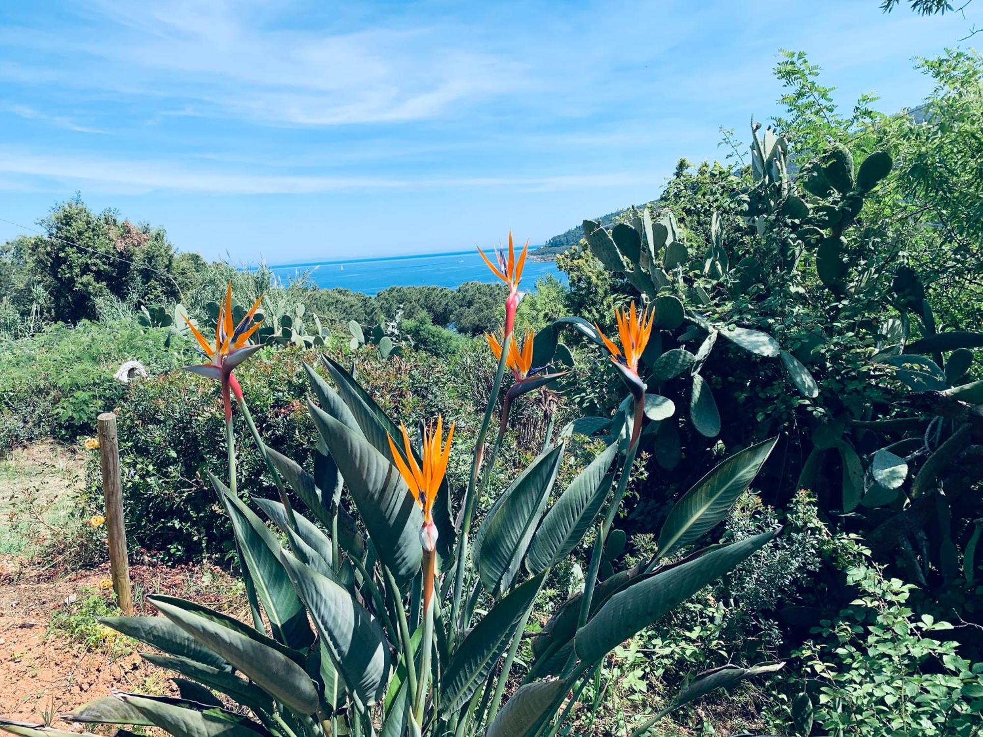 קאפוליברי Case Dei Limoni Sul Mare מראה חיצוני תמונה